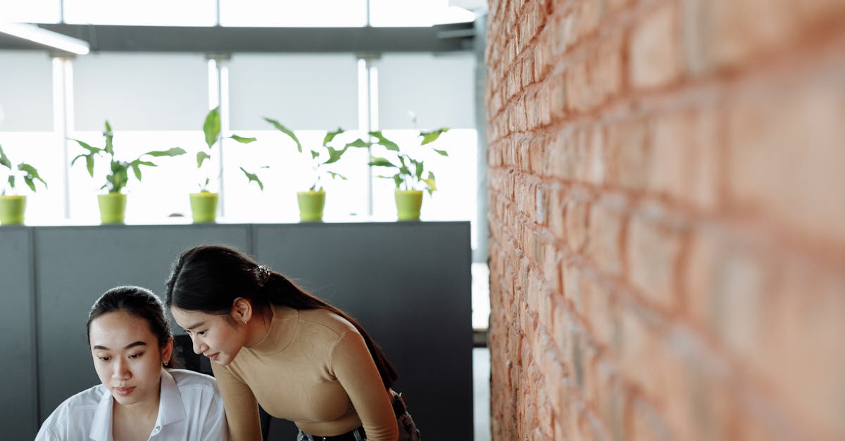 cc网页端|如何进行密码管理,防止黑客入侵